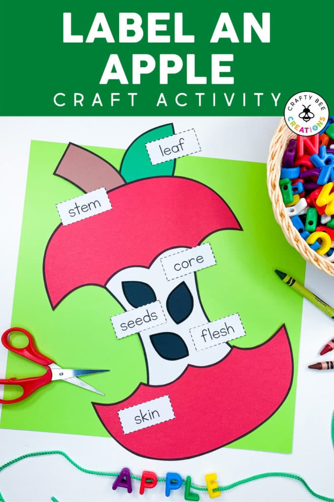 This label an apple activity is the perfect fall craft for preschool or kindergarten during back to school